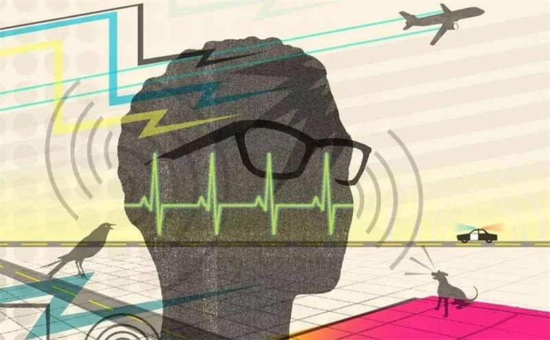 悲劇，聲學處理不（bú）好，噪音（yīn）引發血案