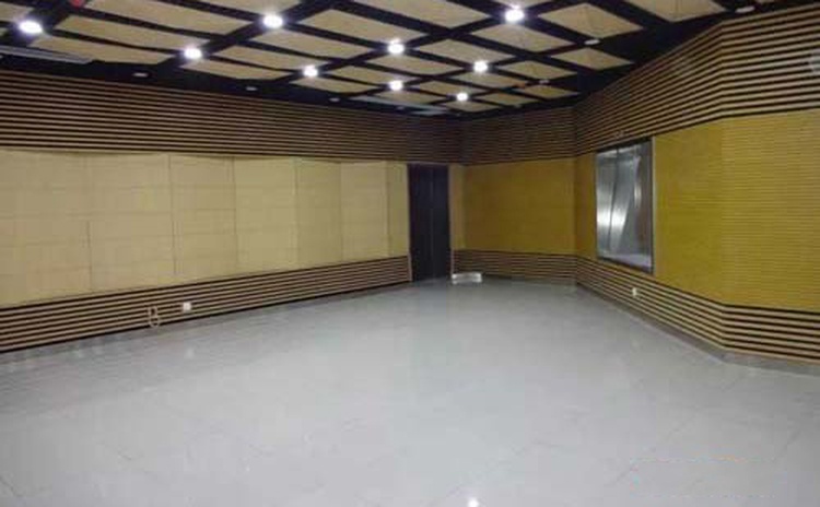 四川資陽（yáng）大會（huì）議室空間（jiān）吸聲（shēng）體聲學工程-2